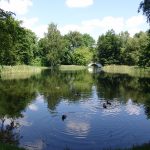 Schlosspark Senftenberg Der Schlosspark mit Teich in Senftenberg - Enten schwimmen im Teich - im Hintergrund ist eine Brücke zu sehen