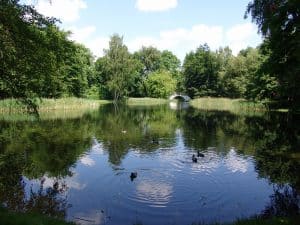 Schlosspark Senftenberg Der Schlosspark mit Teich in Senftenberg - Enten schwimmen im Teich - im Hintergrund ist eine Brücke zu sehen