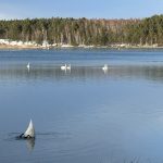 IMG_1375